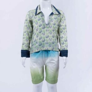 green pigeon short kurta with shaded pant