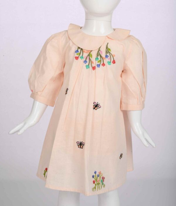 light pink dress with embroidery