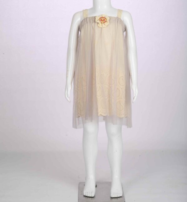 off white chicken dress with net drape